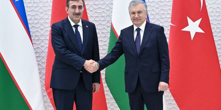 Cumhurbaşkanı Yardımcısı Cevdet Yılmaz, Özbekistan Cumhurbaşkanı Şevket Mirziyoyev ile görüştü