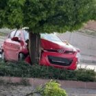 Elazığ’da otomobil ağaca çarptı