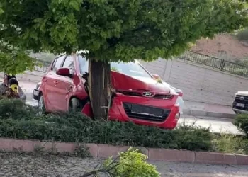 Elazığ’da otomobil ağaca çarptı