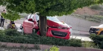 Elazığ’da otomobil ağaca çarptı