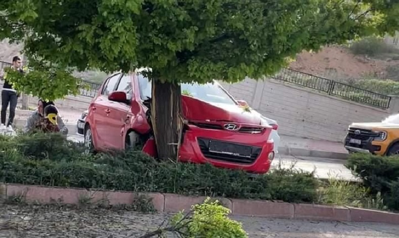 Elazığ’da otomobil ağaca çarptı