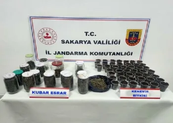 Sakarya’da uyuşturucu ve kaçakçılık operasyonları