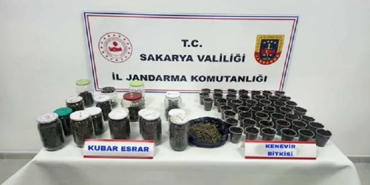 Sakarya’da uyuşturucu ve kaçakçılık operasyonları