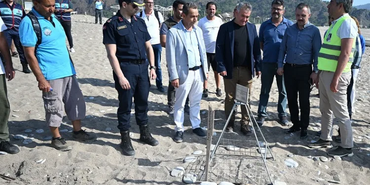 Kemer’de “Caretta Caretta İlk Yuva” etkinliği