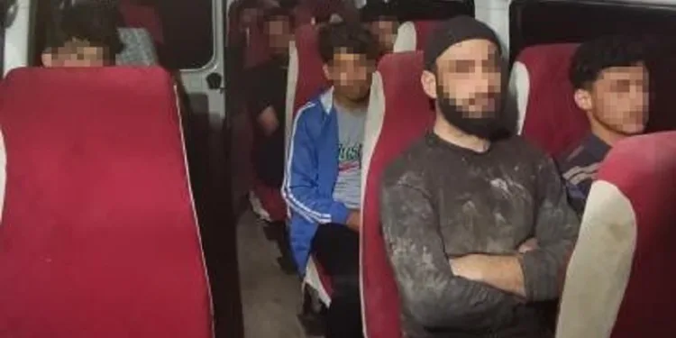 Hatay’da 11 kaçak göçmen minibüste yakalandı