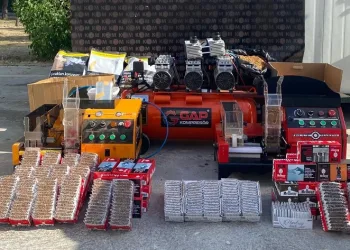 Aydın’da 24 bin dolu makaron ele geçirildi