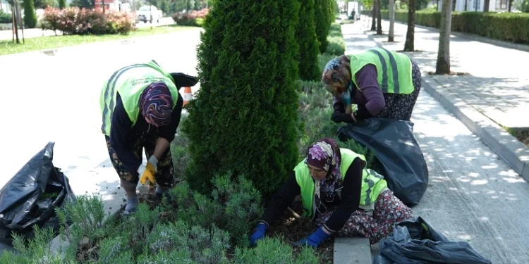 Park ve bahçelere kadın eli değdi