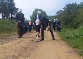 “Orman Benim” kampanyası çerçevesinde ormanlar temizleniyor