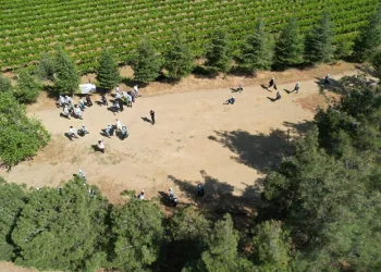 Sarıgöl ormanlarından 3 ton çöp toplandı