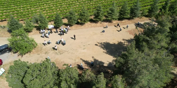 Sarıgöl ormanlarından 3 ton çöp toplandı