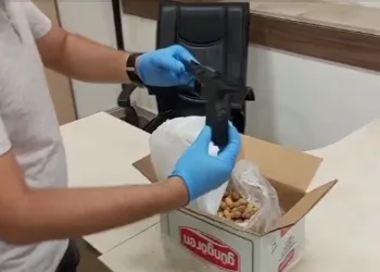 Fıstık kutusunda sakladıkları silahlarla yakalanmışlardı, tutuklandılar