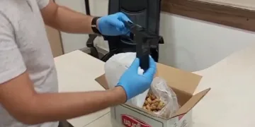 Fıstık kutusunda sakladıkları silahlarla yakalanmışlardı, tutuklandılar