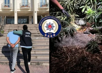 Uyuşturucu operasyonunda 2 gözaltı