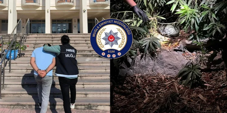 Uyuşturucu operasyonunda 2 gözaltı