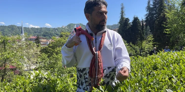 Çaykur Rizespor Teknik Direktörü İlhan Palut çay bahçesine girdi, çay topladı