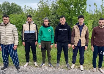 6 kaçak göçmen jandarmadan kaçamadı