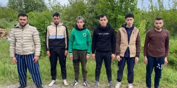 6 kaçak göçmen jandarmadan kaçamadı