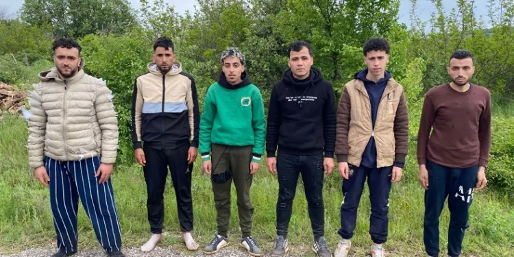 6 kaçak göçmen jandarmadan kaçamadı