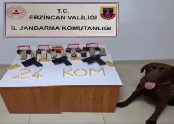 Erzincan’da silah kaçakçısı 1 kişi yakalandı