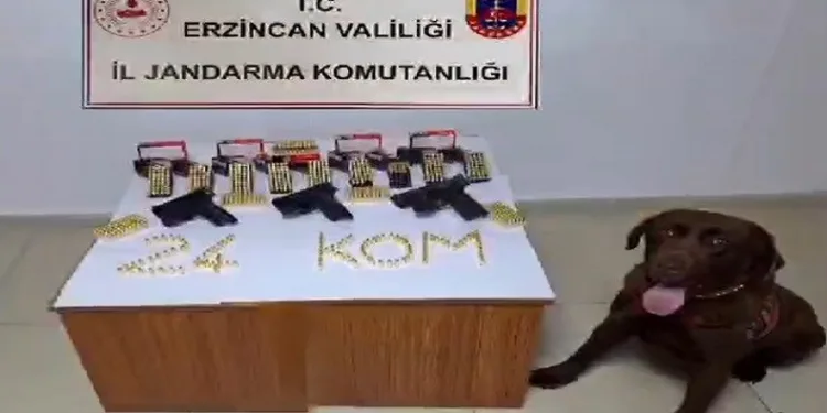 Erzincan’da silah kaçakçısı 1 kişi yakalandı