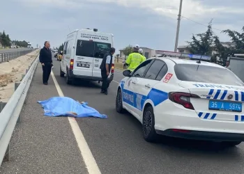 Yolun karşısına geçmeye çalışırken otomobilin çarptığı yaya hayatını kaybetti