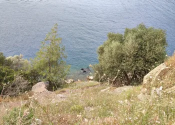 ATV uçurumdan denize düştü
