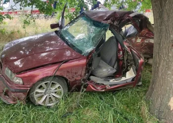 Adıyaman’da otomobil ağaca çarptı
