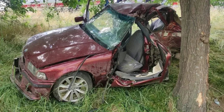 Adıyaman’da otomobil ağaca çarptı
