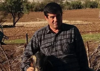 Arazide 2 çobanın tartışması kanlı bitti