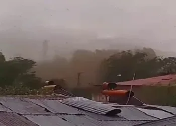Erzurum’da hortum evlerin çatılarını uçurdu