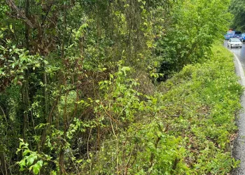 Virajı alamayan otomobil ormanlık alana uçtu