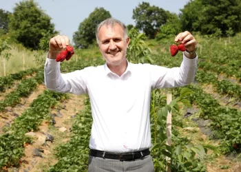 İnegöl Belediyesi çiftçisinin yanında