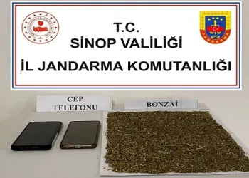 Sinop’ta 80 gram bonzai ele geçirildi