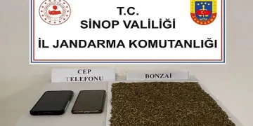 Sinop’ta 80 gram bonzai ele geçirildi