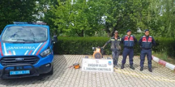 Tarladan su motoru çalan 2 şüpheli yakalanıp gözaltına alındı