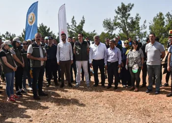 Bozyazı’da ‘Orman Benim’ etkinliği düzenlendi