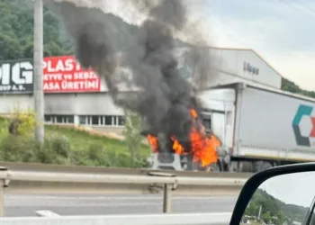 Seyir halindeki tır alev topuna döndü