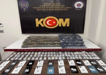 Şırnak’ta asayiş ve terör operasyonlarında 55 kişiye işlem yapıldı