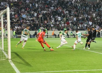 Elazığspor: 4 – Efeler 09 SFK: 0