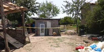 Koyun sayasında öldürüldü