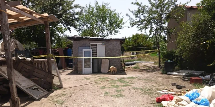 Koyun sayasında öldürüldü