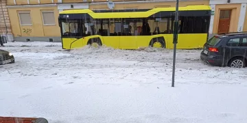 Polonya’da sağanak yağış ve dolu hayatı felç etti