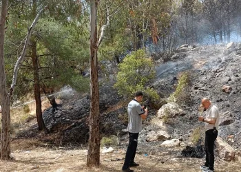 Ormanlık alandaki yangın kontrol altında