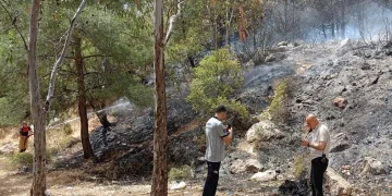 Ormanlık alandaki yangın kontrol altında