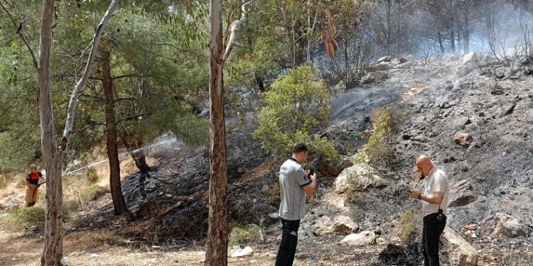 Ormanlık alandaki yangın kontrol altında