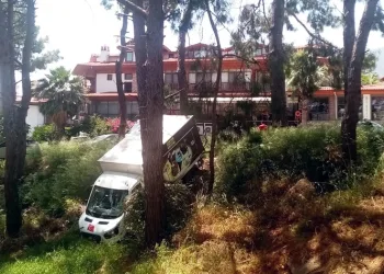 Yük indirmek için duran kamyonet ormanlık alana kaydı