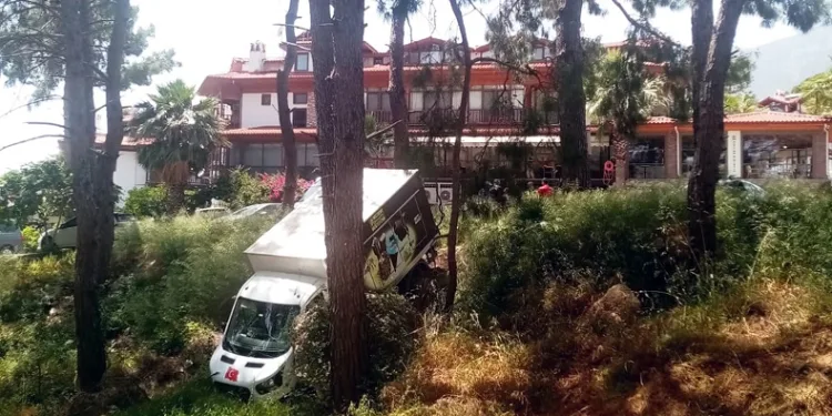 Yük indirmek için duran kamyonet ormanlık alana kaydı