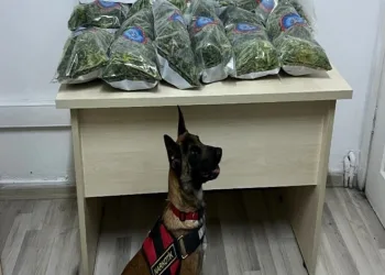 İzmir’de 10 kilo uyuşturucu madde ele geçirildi
