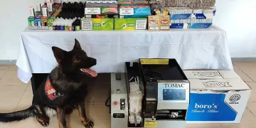 Jandarmadan kaçakçılık operasyonu