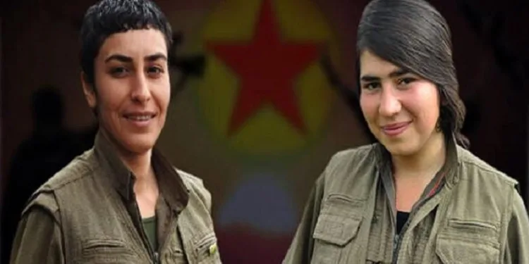 MİT, Irak’ın kuzeyinde 2 teröristi etkisiz hale getirdi